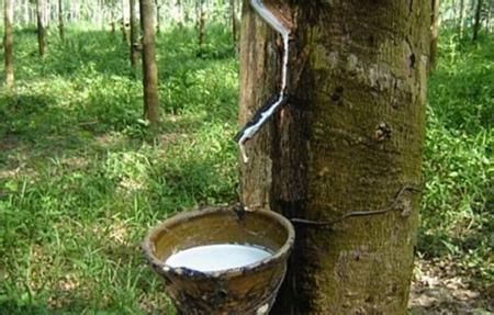 Ȼzr(ji)ϝqʹЬr(ji)