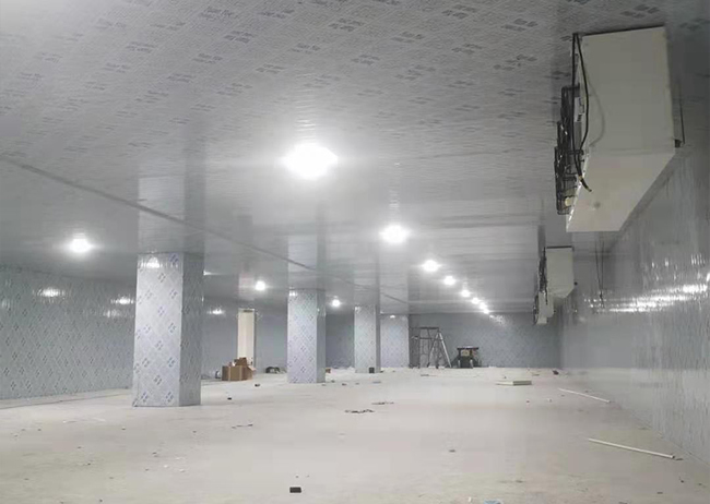 1000平方農(nóng)產(chǎn)品保鮮冷庫建造案例