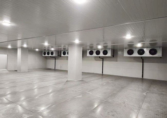 大型海鮮速凍冷庫建造案例